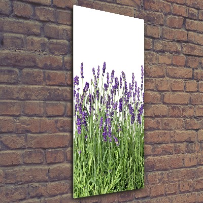 Cuadro decorativo en acrílico brillante vertical campo de lavanda
