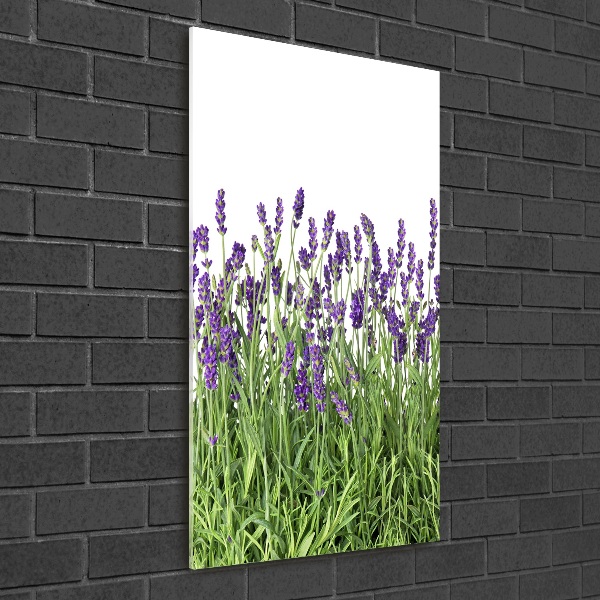 Cuadro decorativo en acrílico brillante vertical campo de lavanda
