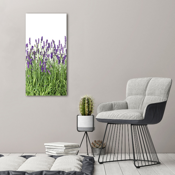 Cuadro decorativo en acrílico brillante vertical campo de lavanda