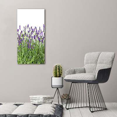 Cuadro decorativo en acrílico brillante vertical campo de lavanda