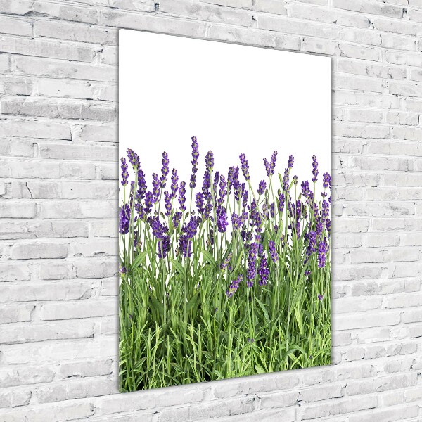 Cuadro decorativo en acrílico brillante vertical campo de lavanda