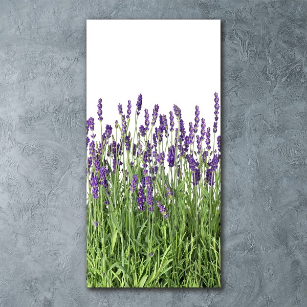Cuadro decorativo en acrílico brillante vertical campo de lavanda