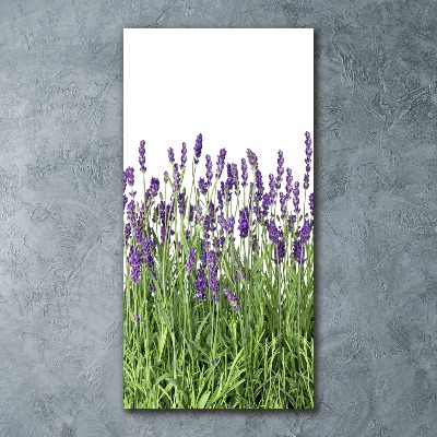 Cuadro decorativo en acrílico brillante vertical campo de lavanda