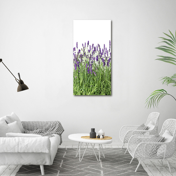 Cuadro decorativo en acrílico brillante vertical campo de lavanda