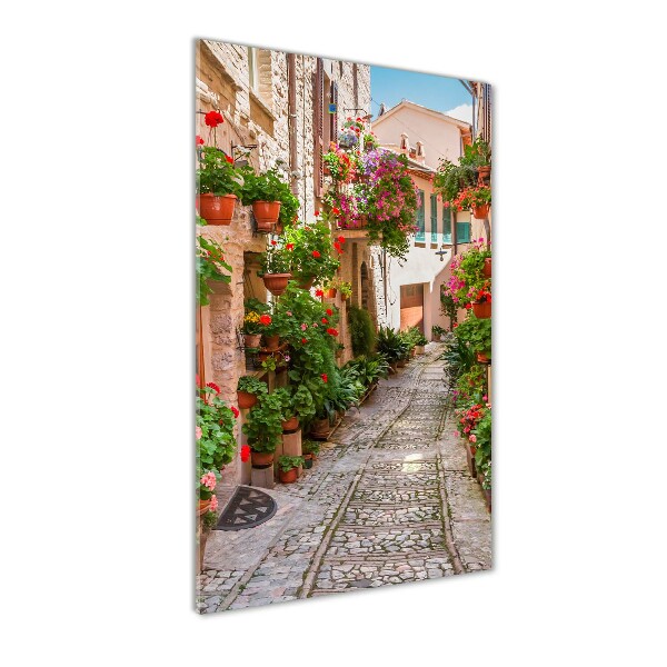 Cuadro de metacrilato moderno efecto cristal vertical calles italianas