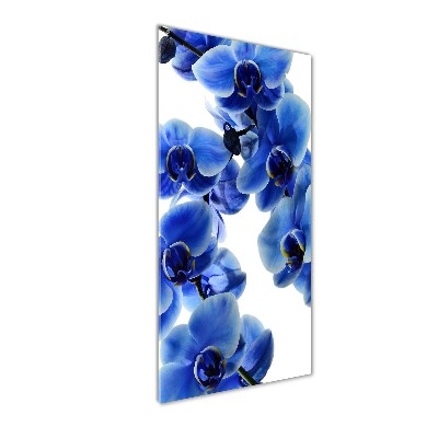 Cuadro de metacrilato moderno efecto cristal vertical Orquídea azul