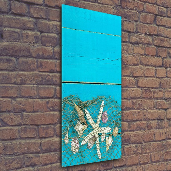 Impresión en metacrilato de alta calidad vertical Conchas y estrellas de mar