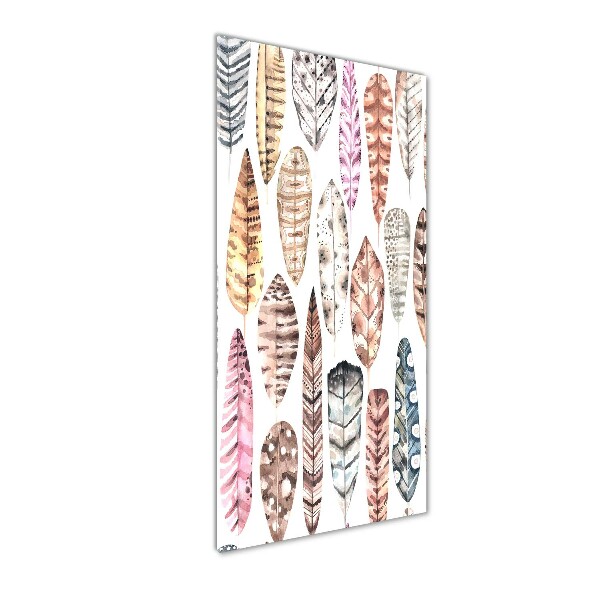 Cuadro decorativo en acrílico brillante vertical Plumas de colores