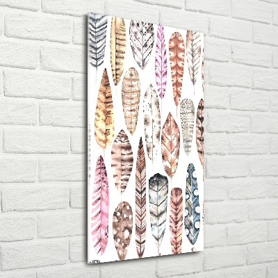 Cuadro decorativo en acrílico brillante vertical Plumas de colores