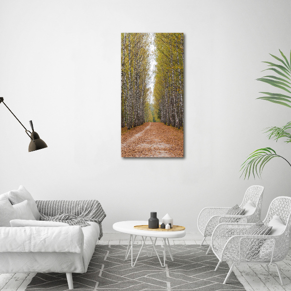 Cuadro de metacrilato moderno efecto cristal vertical bosque de abedules