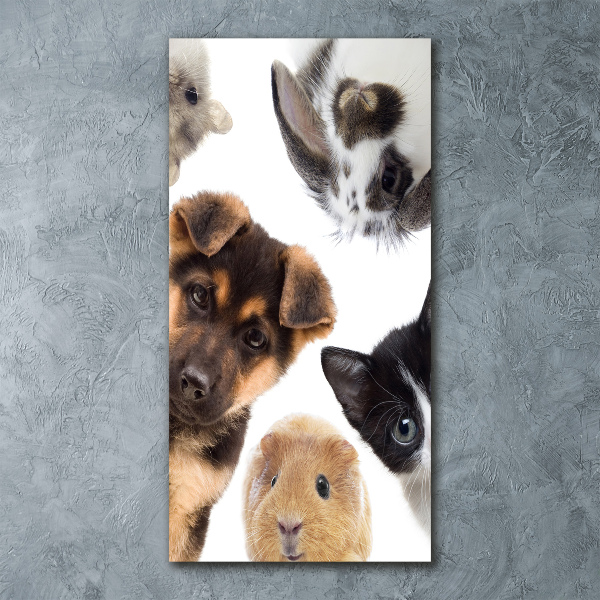 Cuadro de metacrilato moderno efecto cristal vertical Mascotas