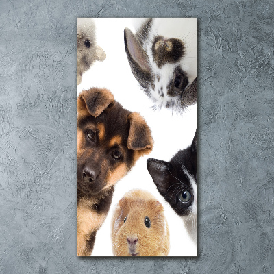 Cuadro de metacrilato moderno efecto cristal vertical Mascotas