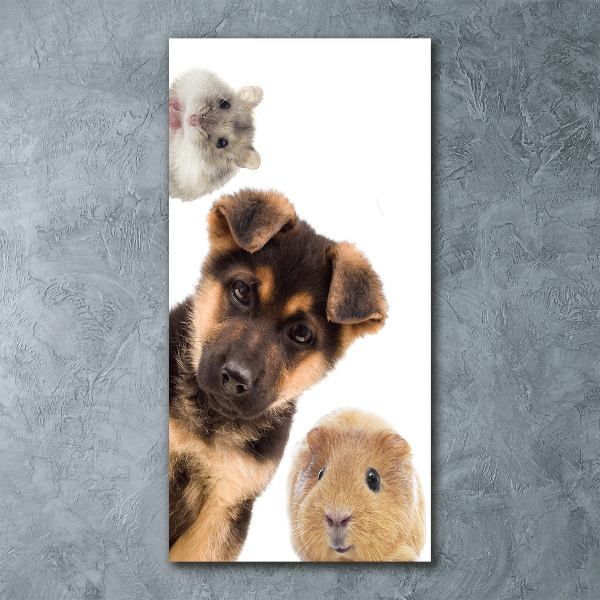 Impresión en metacrilato de alta calidad vertical Mascotas