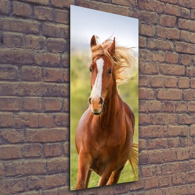 Cuadro decorativo en acrílico brillante vertical Un caballo al galope