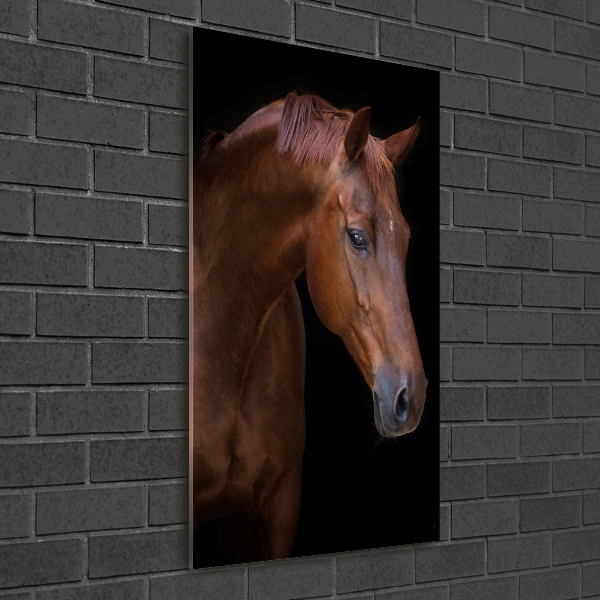 Cuadro de metacrilato moderno efecto cristal vertical Retrato de un caballo