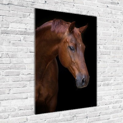 Cuadro de metacrilato moderno efecto cristal vertical Retrato de un caballo