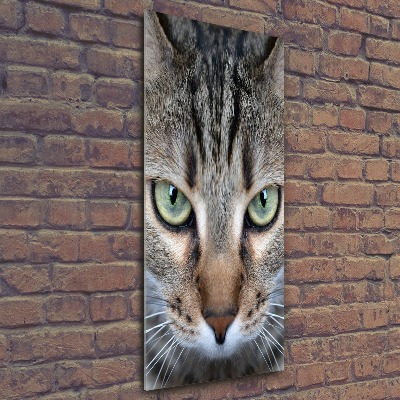 Impresión en metacrilato de alta calidad vertical ojos de gato