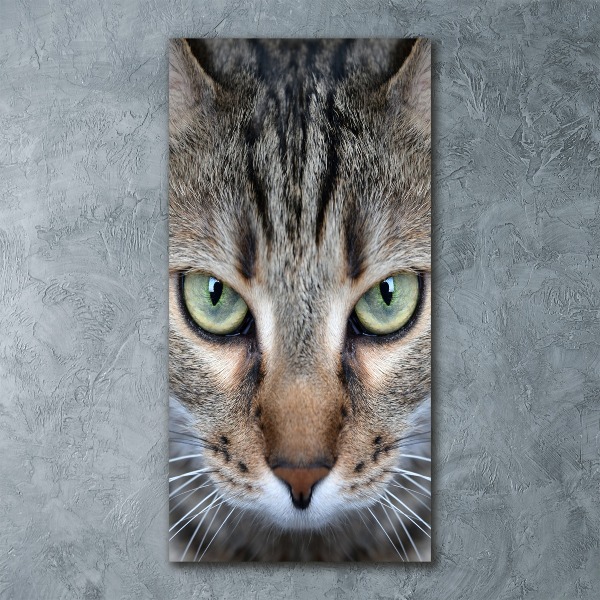 Impresión en metacrilato de alta calidad vertical ojos de gato