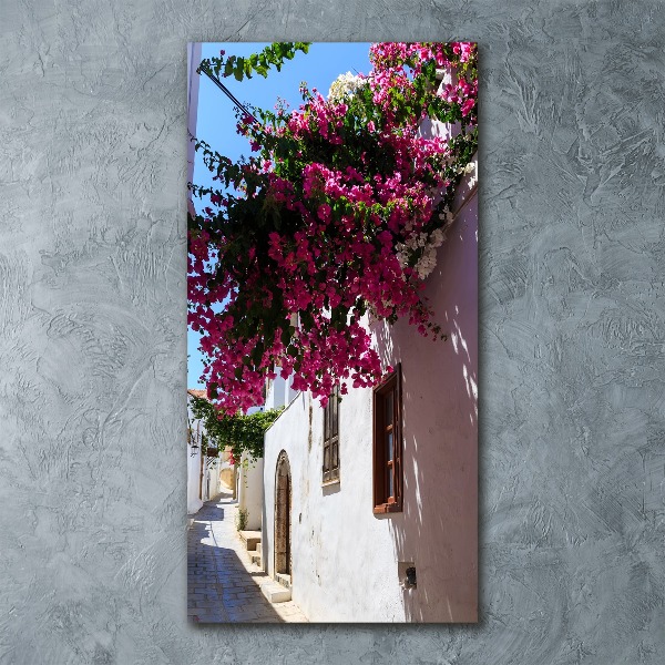 Cuadro de metacrilato vertical Rodas, Grecia