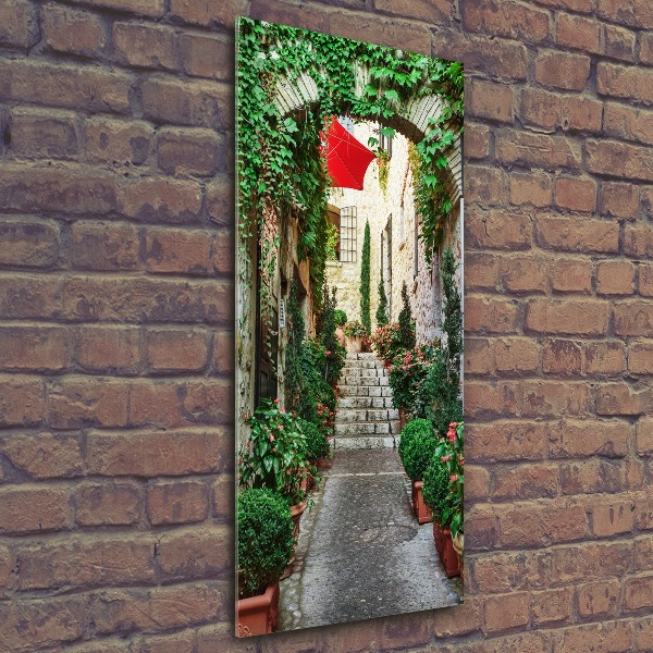 Cuadro de metacrilato moderno efecto cristal vertical Calles de Francia