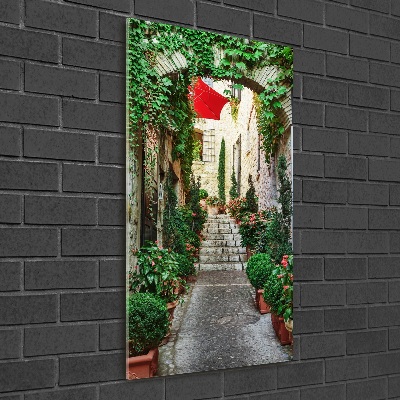 Cuadro de metacrilato moderno efecto cristal vertical Calles de Francia