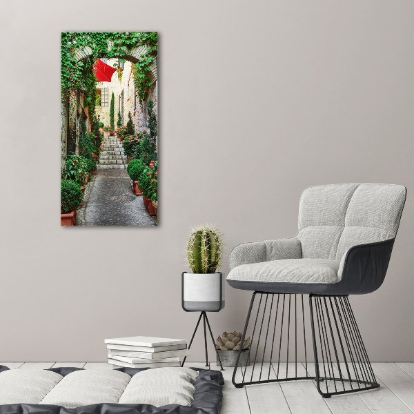 Cuadro de metacrilato moderno efecto cristal vertical Calles de Francia