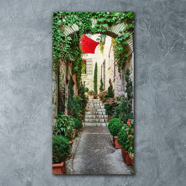 Cuadro de metacrilato moderno efecto cristal vertical Calles de Francia