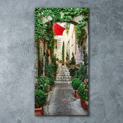 Cuadro de metacrilato moderno efecto cristal vertical Calles de Francia