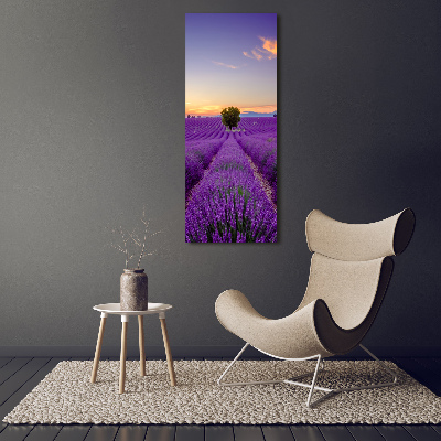 Cuadro decorativo en acrílico brillante vertical campo de lavanda