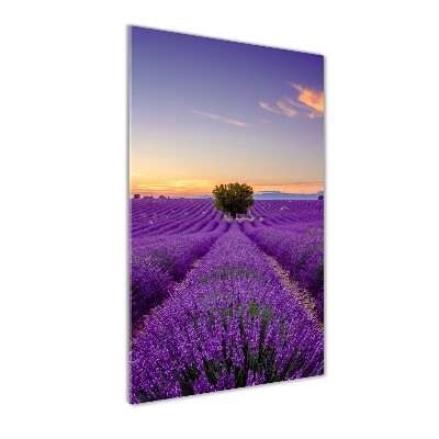 Cuadro decorativo en acrílico brillante vertical campo de lavanda