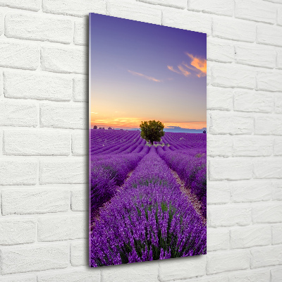 Cuadro decorativo en acrílico brillante vertical campo de lavanda