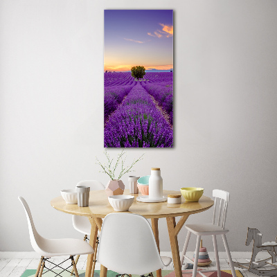 Cuadro decorativo en acrílico brillante vertical campo de lavanda