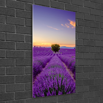 Cuadro decorativo en acrílico brillante vertical campo de lavanda