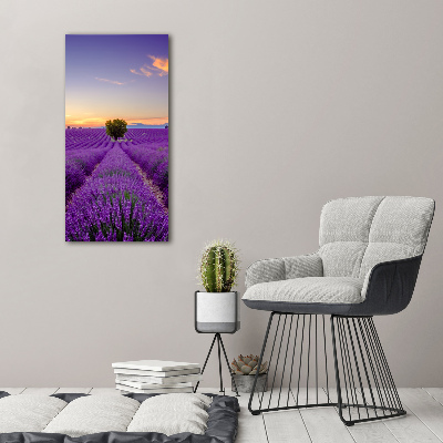 Cuadro decorativo en acrílico brillante vertical campo de lavanda