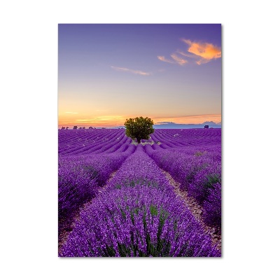 Cuadro decorativo en acrílico brillante vertical campo de lavanda