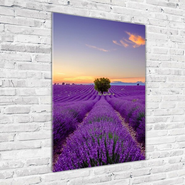 Cuadro decorativo en acrílico brillante vertical campo de lavanda