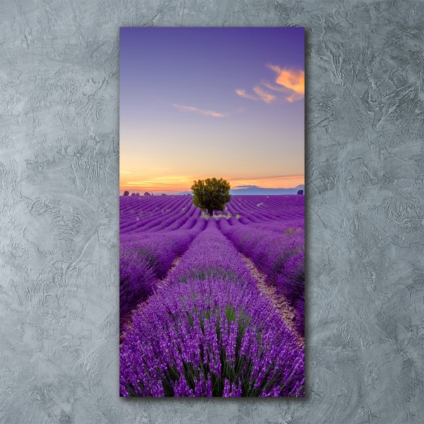 Cuadro decorativo en acrílico brillante vertical campo de lavanda