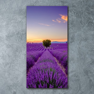 Cuadro decorativo en acrílico brillante vertical campo de lavanda