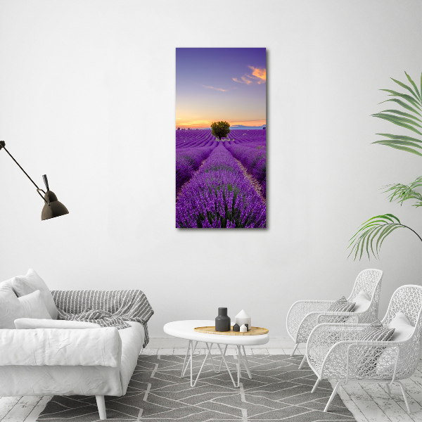 Cuadro decorativo en acrílico brillante vertical campo de lavanda