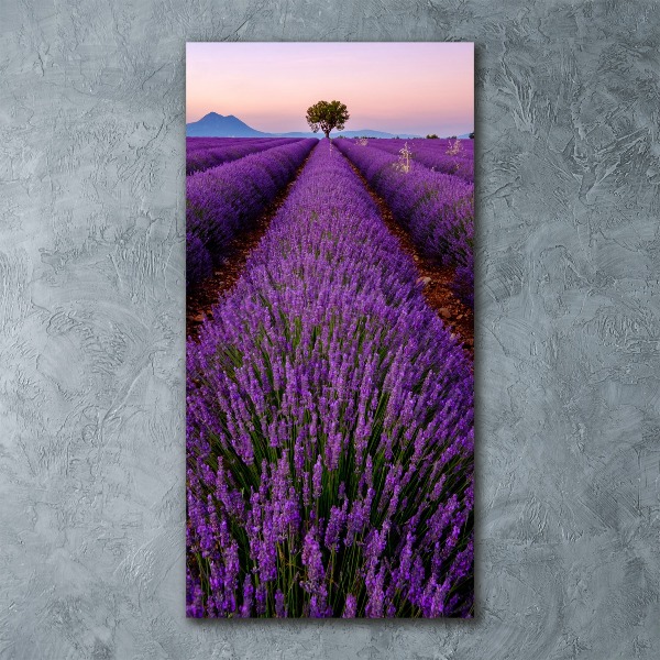 Cuadro de metacrilato vertical campo de lavanda