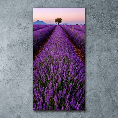 Cuadro de metacrilato vertical campo de lavanda