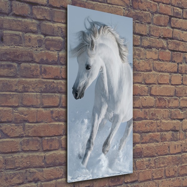 Cuadro de metacrilato moderno efecto cristal vertical Un caballo blanco galopando