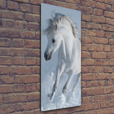 Cuadro de metacrilato moderno efecto cristal vertical Un caballo blanco galopando