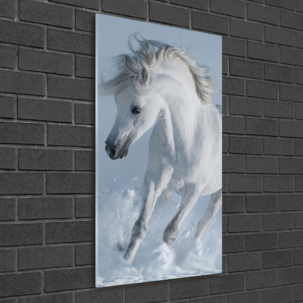 Cuadro de metacrilato moderno efecto cristal vertical Un caballo blanco galopando