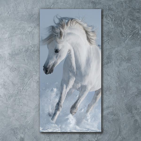 Cuadro de metacrilato moderno efecto cristal vertical Un caballo blanco galopando