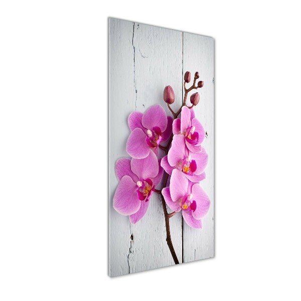 Cuadro decorativo en acrílico brillante vertical Orquídea rosa