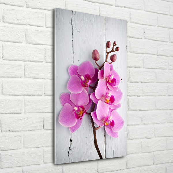 Cuadro decorativo en acrílico brillante vertical Orquídea rosa