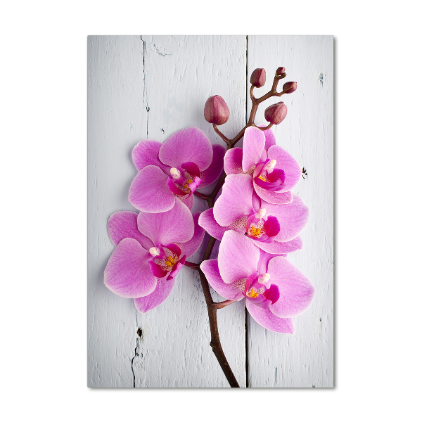 Cuadro decorativo en acrílico brillante vertical Orquídea rosa