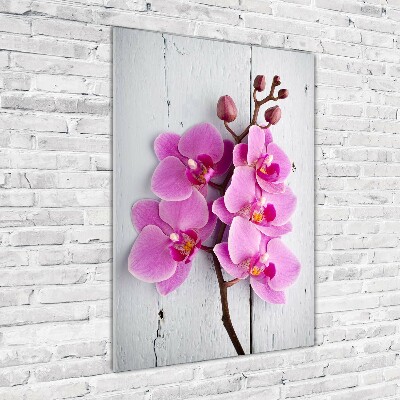 Cuadro decorativo en acrílico brillante vertical Orquídea rosa