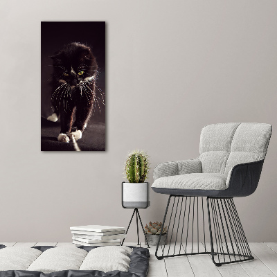Cuadro decorativo en acrílico brillante vertical Gato negro